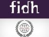 FIDH (International Federation for Human Rights): Israel’s Genocide & Occupation Irreversibly Threaten Palestinian Self-Determination